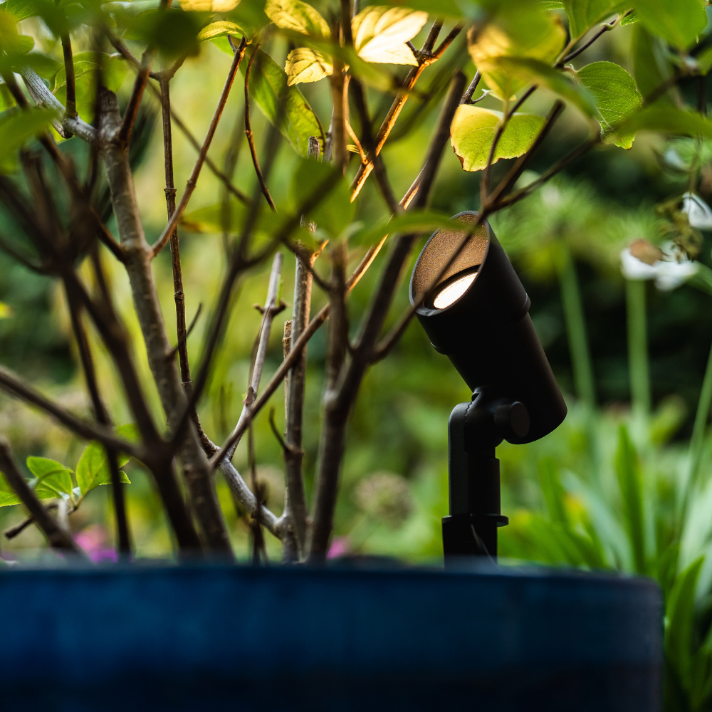 Campo | spike light | anti-glare cap black | warm white | dimmable | OutdoorPro+ | 12 volts Campo | spike light | anti-glare cap black | warm white | dimmable | OutdoorPro+ | 12 volts