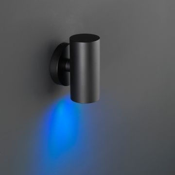 Erla kop | wall light | round black | down | RGB CCT | OutdoorFlex+ | 24 volts