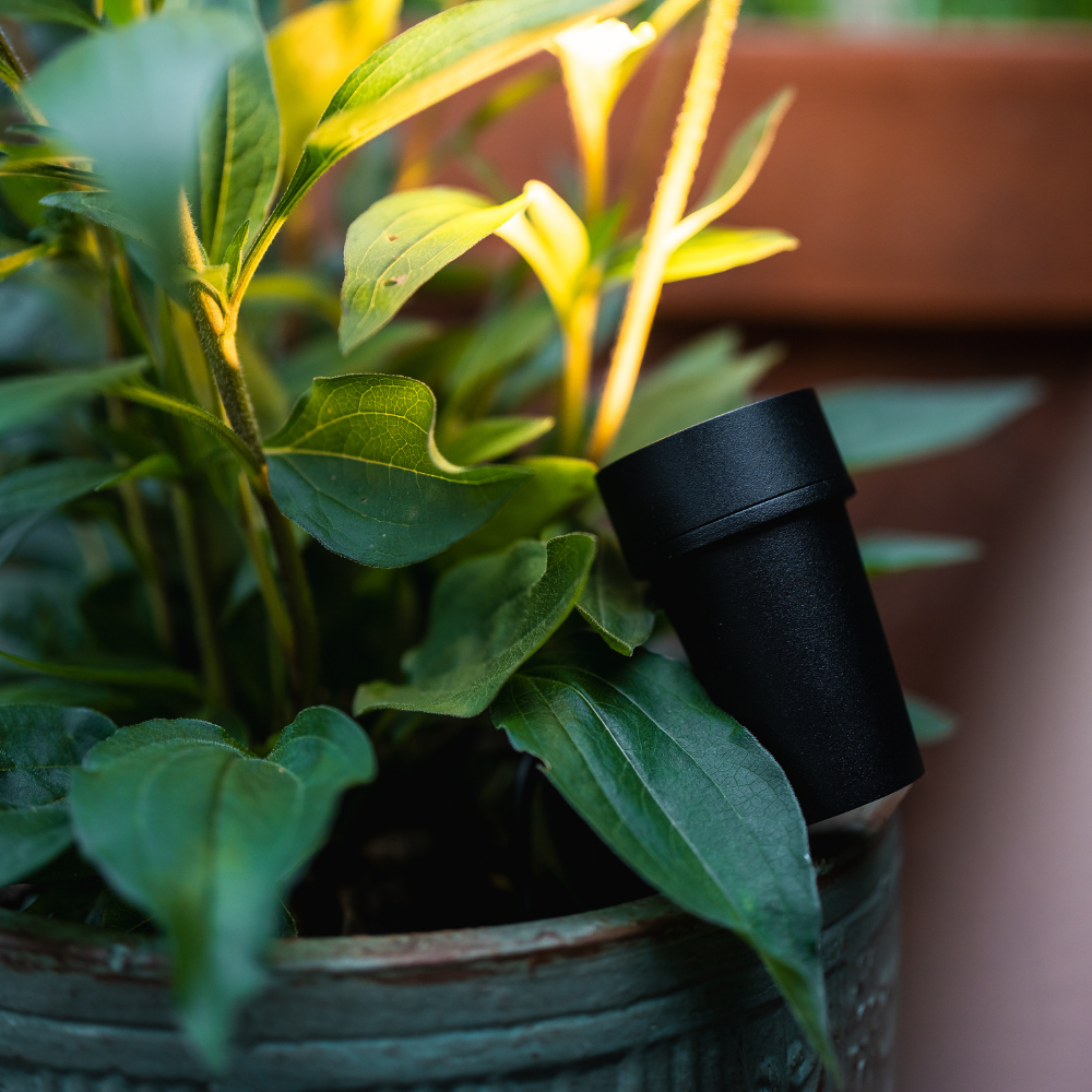 Nisa | spike light | straight cap black | warm white | dimmable | OutdoorPro+ | 12 volts Nisa | spike light | straight cap black | warm white | dimmable | OutdoorPro+ | 12 volts